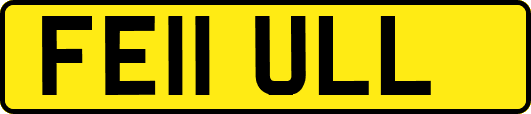 FE11ULL