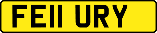 FE11URY