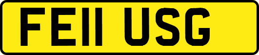 FE11USG