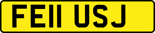 FE11USJ