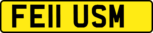FE11USM