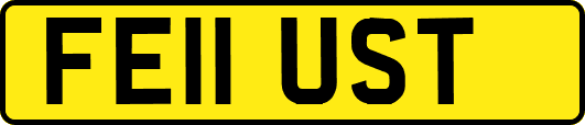 FE11UST