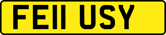 FE11USY