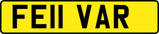 FE11VAR