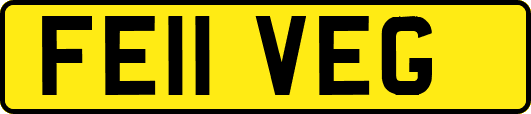 FE11VEG