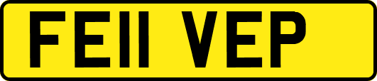 FE11VEP