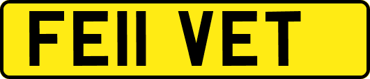 FE11VET