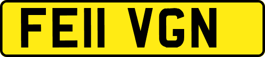 FE11VGN