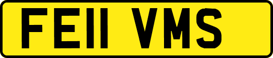 FE11VMS