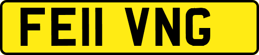 FE11VNG