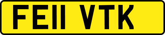 FE11VTK