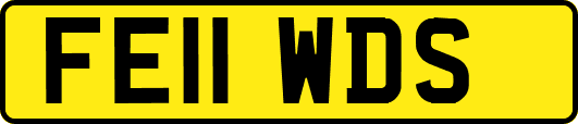FE11WDS