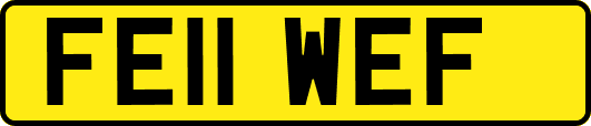 FE11WEF