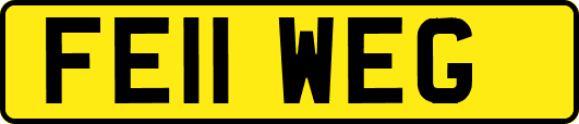 FE11WEG