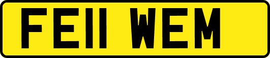 FE11WEM