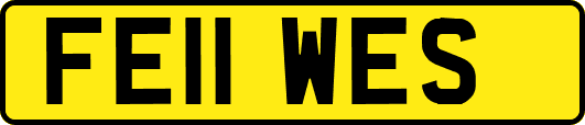 FE11WES