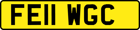 FE11WGC
