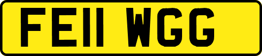 FE11WGG