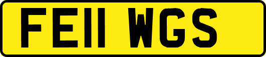 FE11WGS