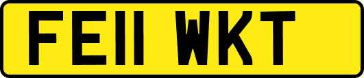 FE11WKT