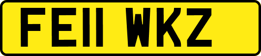 FE11WKZ