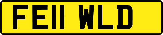 FE11WLD