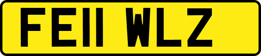 FE11WLZ