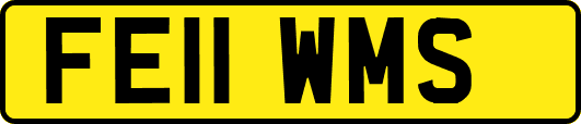 FE11WMS