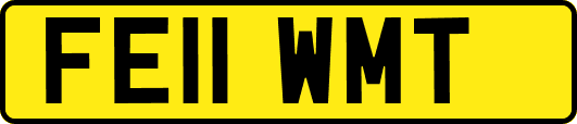 FE11WMT