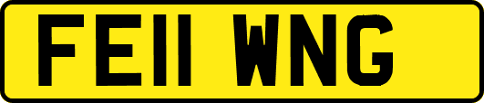 FE11WNG