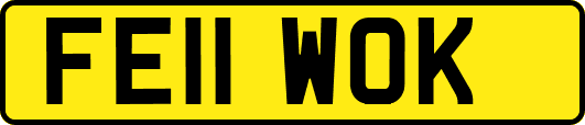 FE11WOK