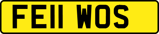 FE11WOS