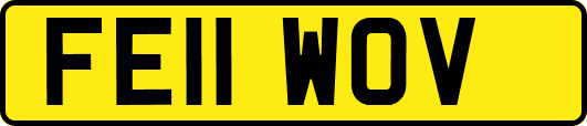FE11WOV