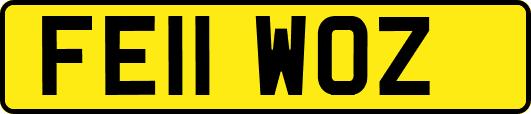 FE11WOZ