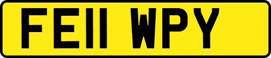 FE11WPY