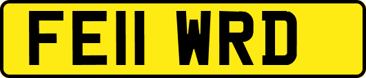 FE11WRD