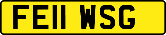 FE11WSG