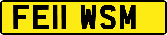 FE11WSM
