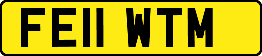 FE11WTM