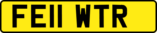 FE11WTR