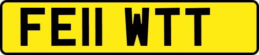 FE11WTT