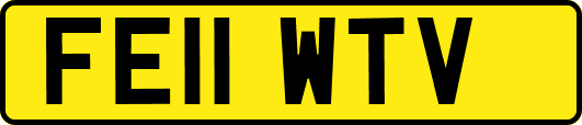 FE11WTV
