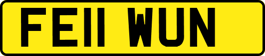 FE11WUN