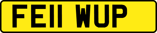FE11WUP