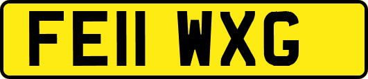 FE11WXG