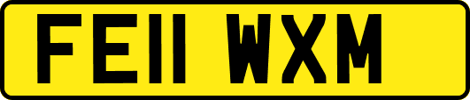 FE11WXM