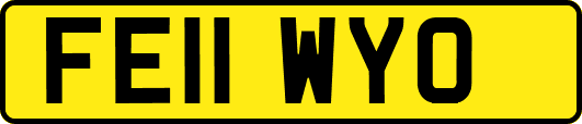 FE11WYO