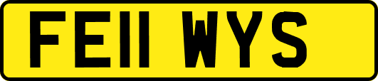 FE11WYS