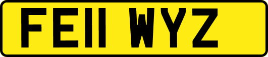 FE11WYZ