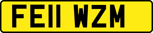 FE11WZM